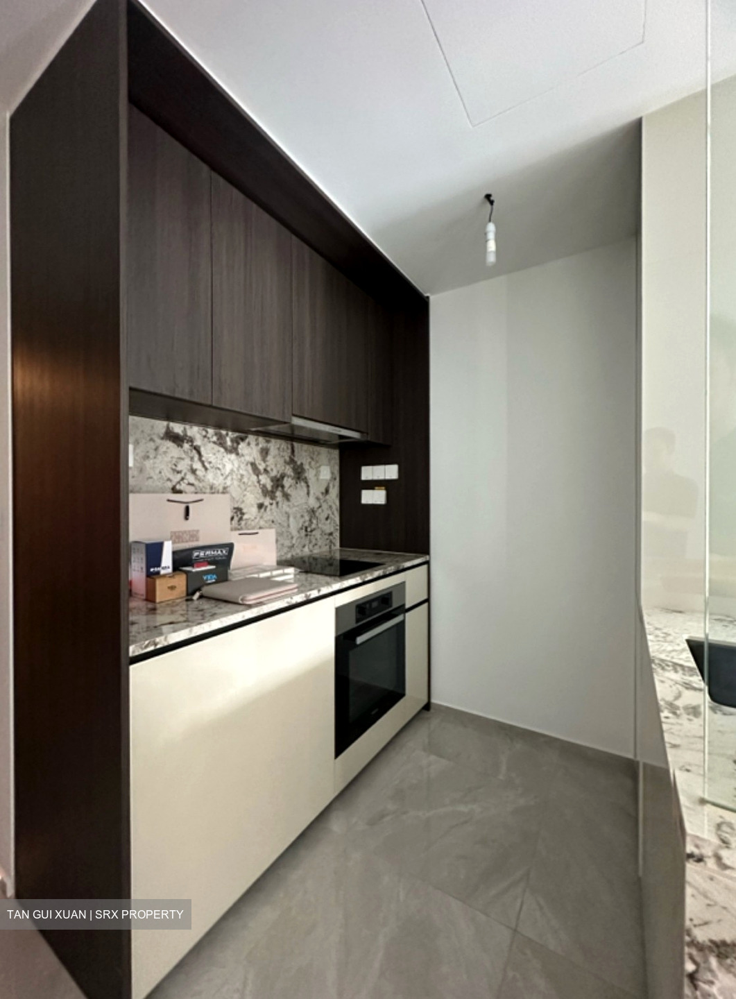 Tembusu Grand (D15), Condominium #619544641